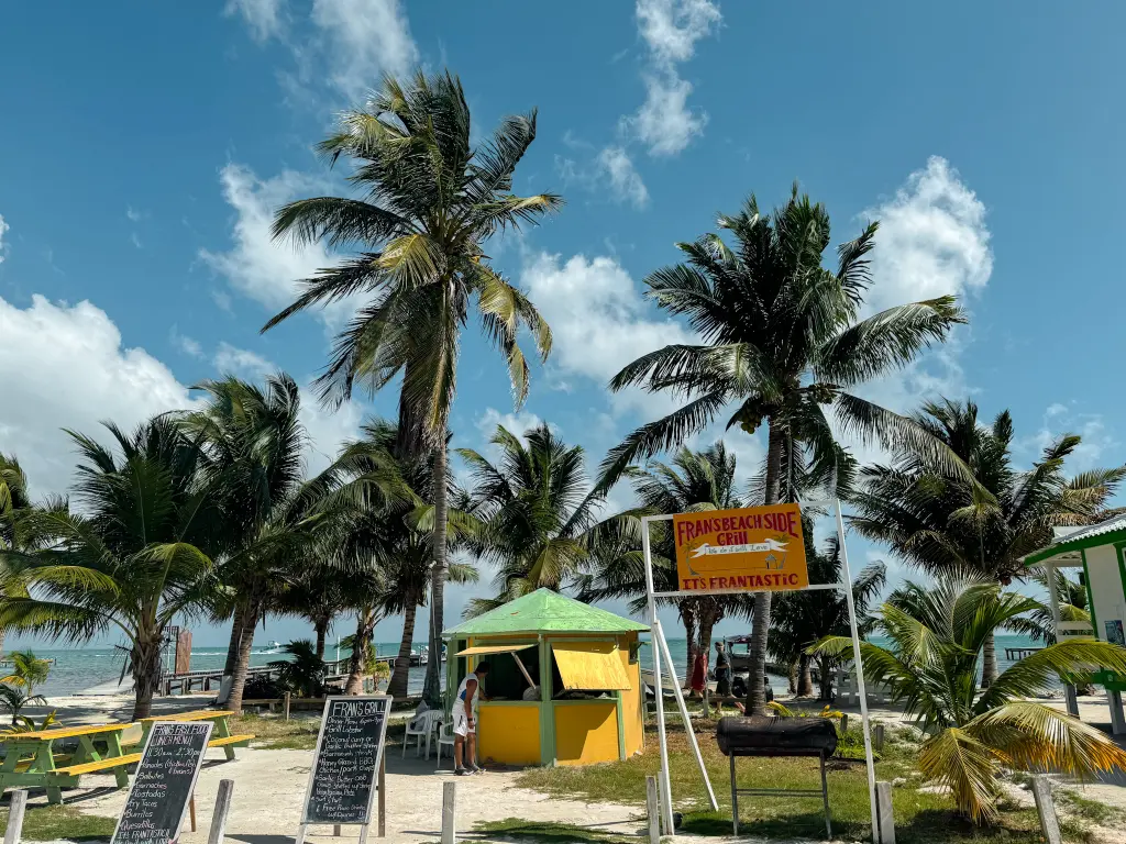 sunny blue skies, palm trees and a seafood hut on a beach in belize