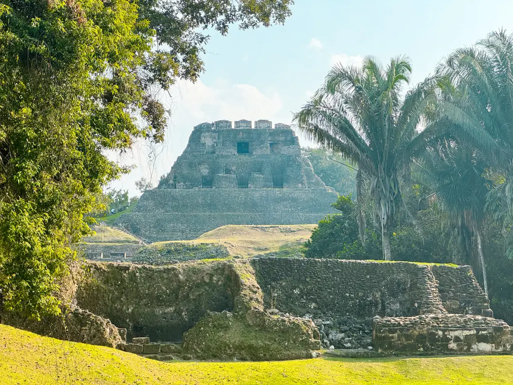 temple in the jungle in belize