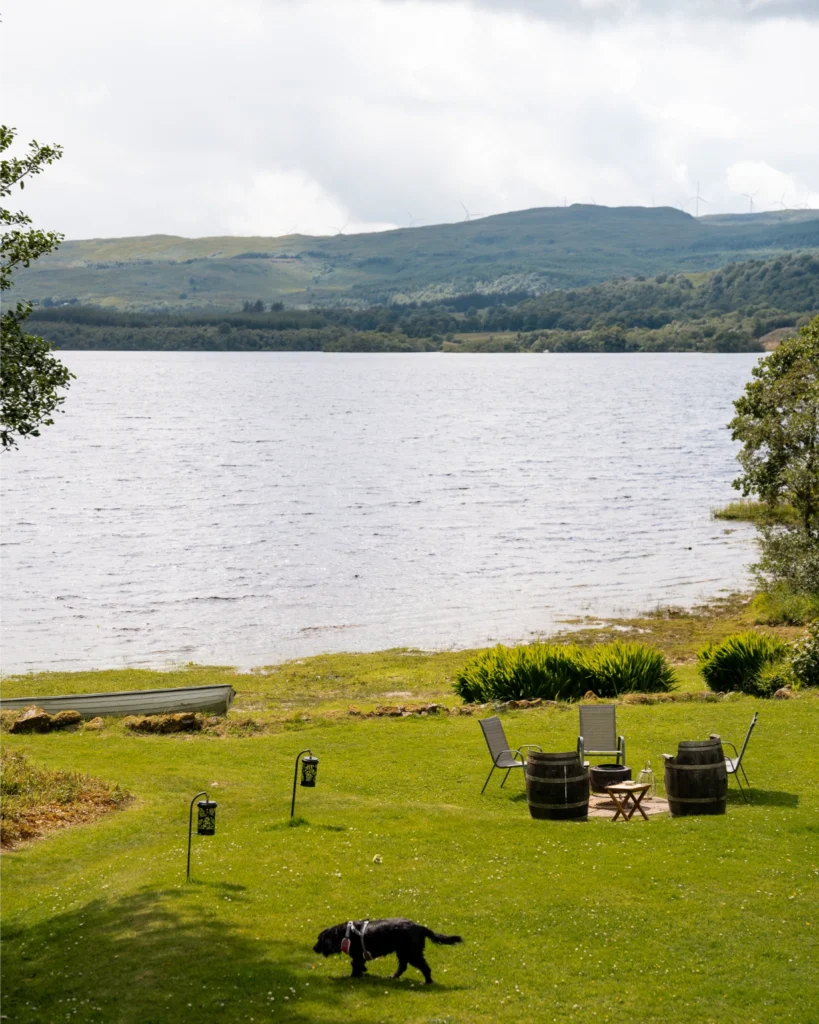 dog runs on banks of loch at Taychreggan Hotel