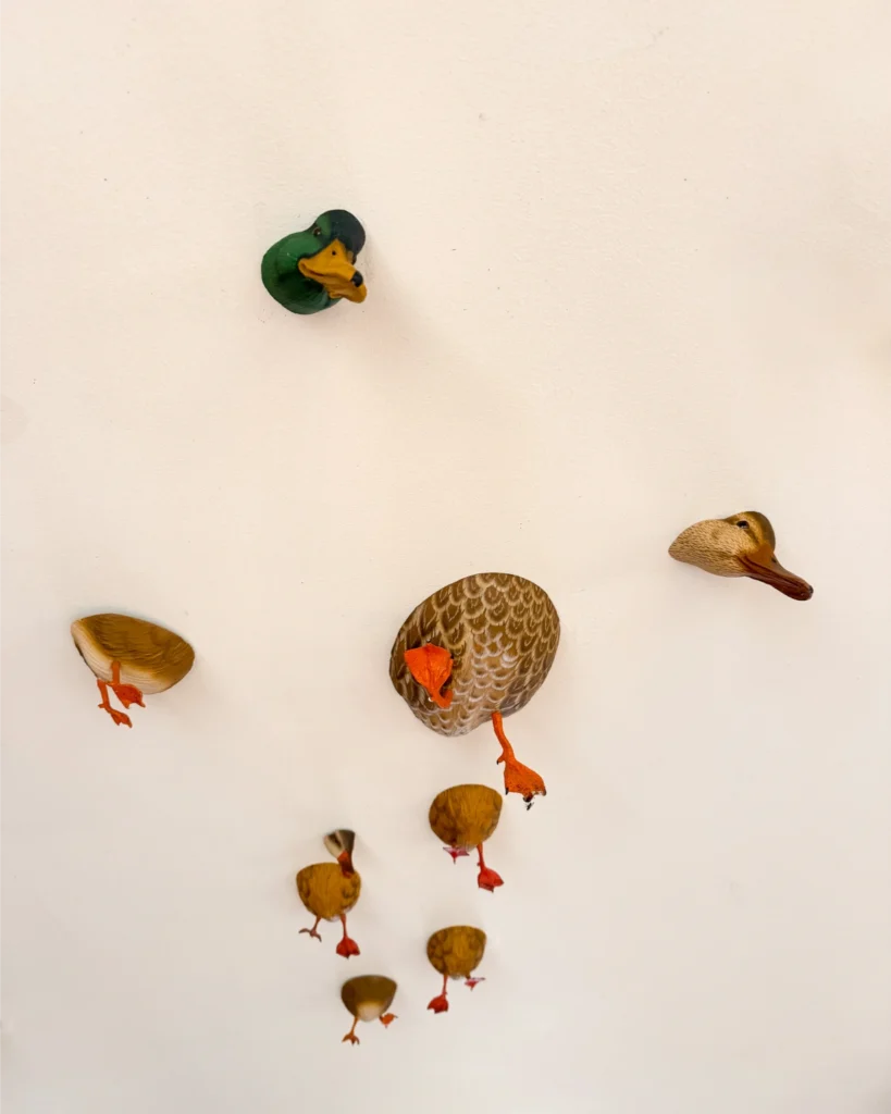 ducks in loch front bar