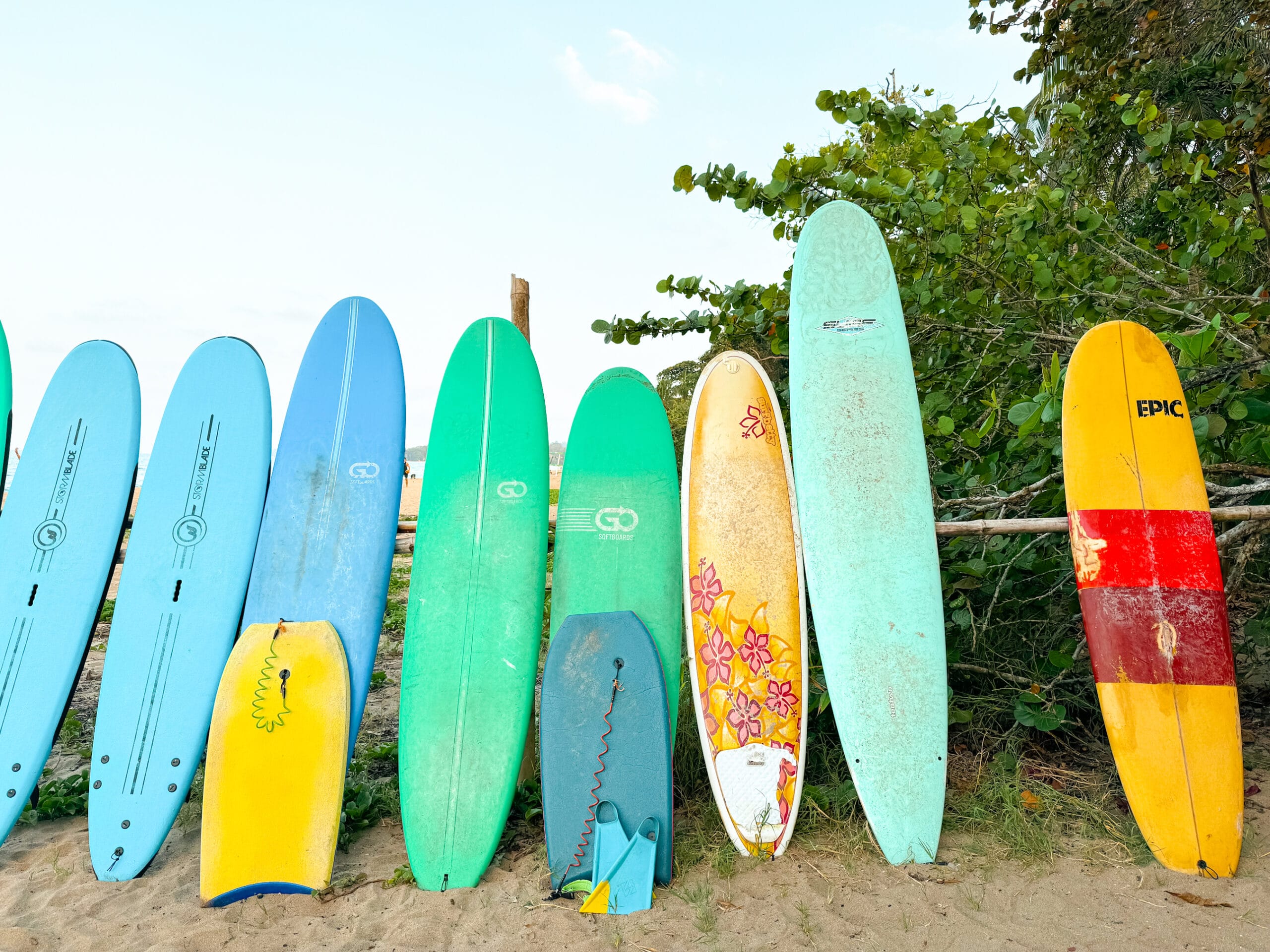 costa rica travel surf boards lined up along the beach