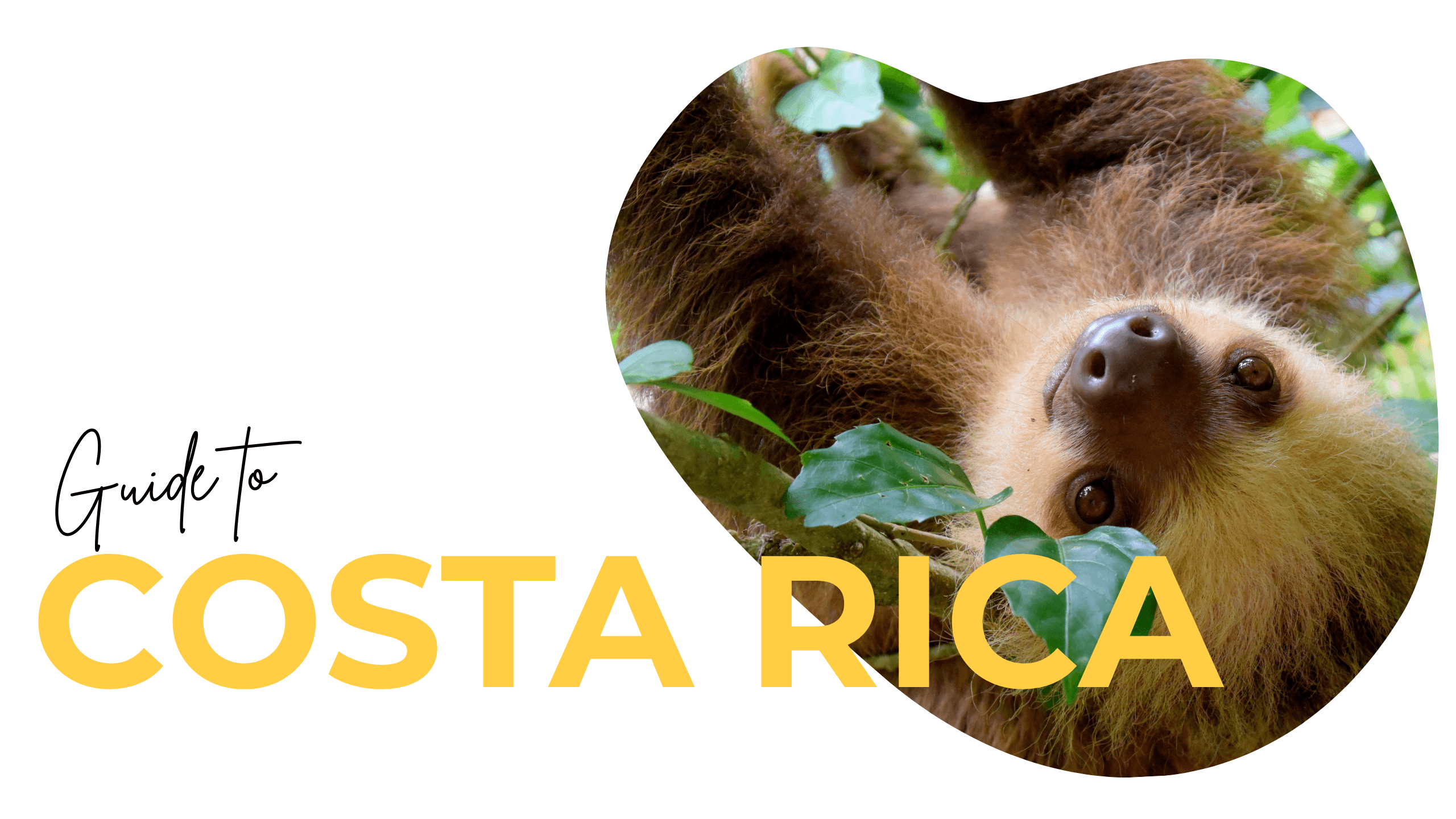 costa rica travel destinations blog header with sloth