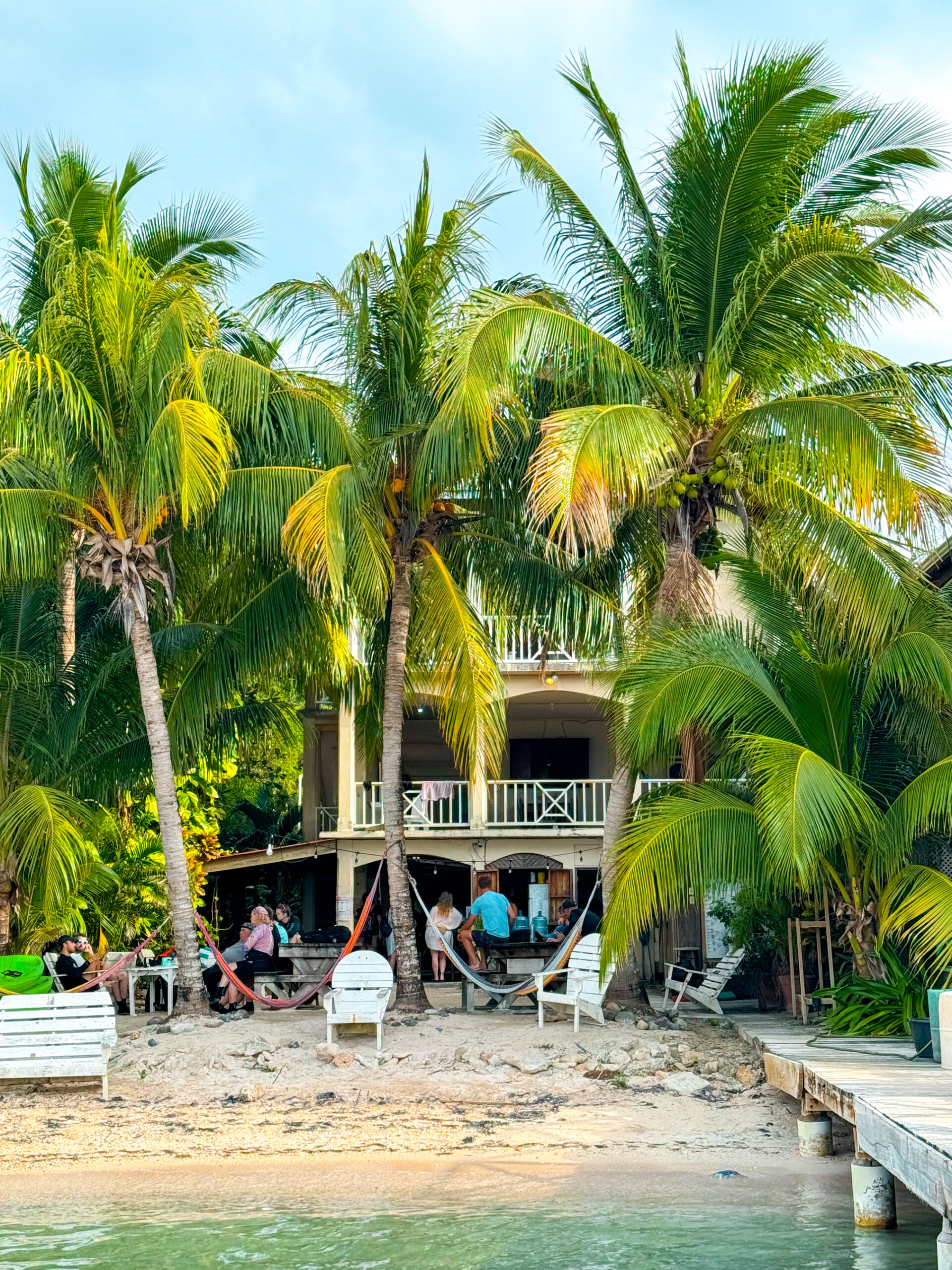 utila honduras palm trees on the island scuba diving travel guides