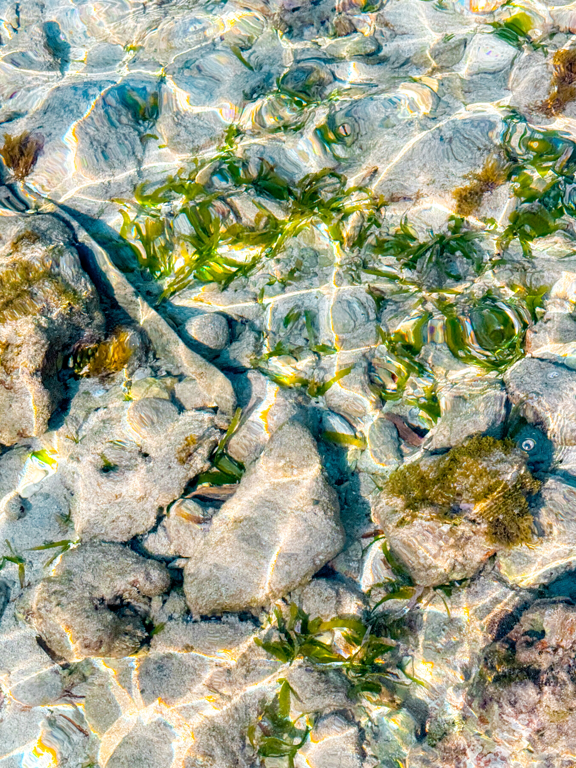 utila honduras travel guides clear waters