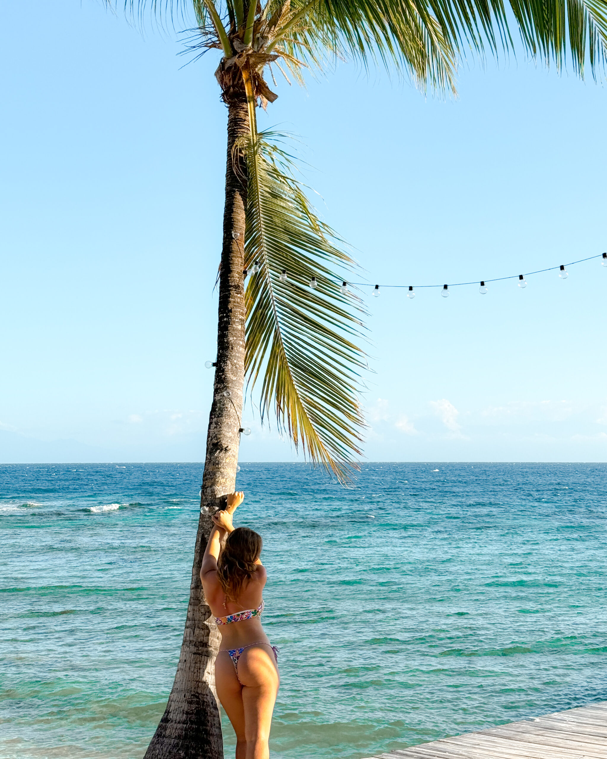 utila honduras travel guides caribbean sea lookout