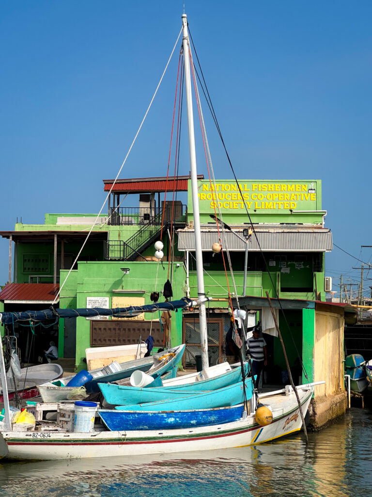 Belize caye caulker travel boats at the port coming in to belize city