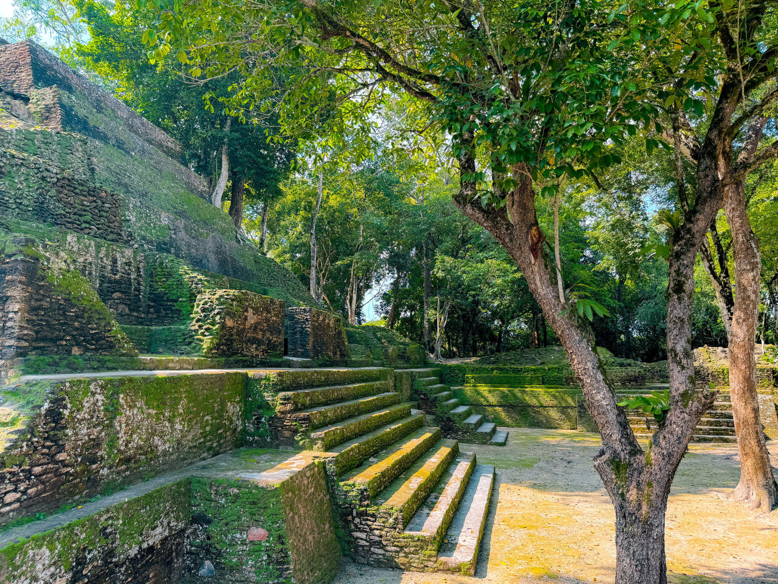 cahal pech xunantunich temple ruins in jungle