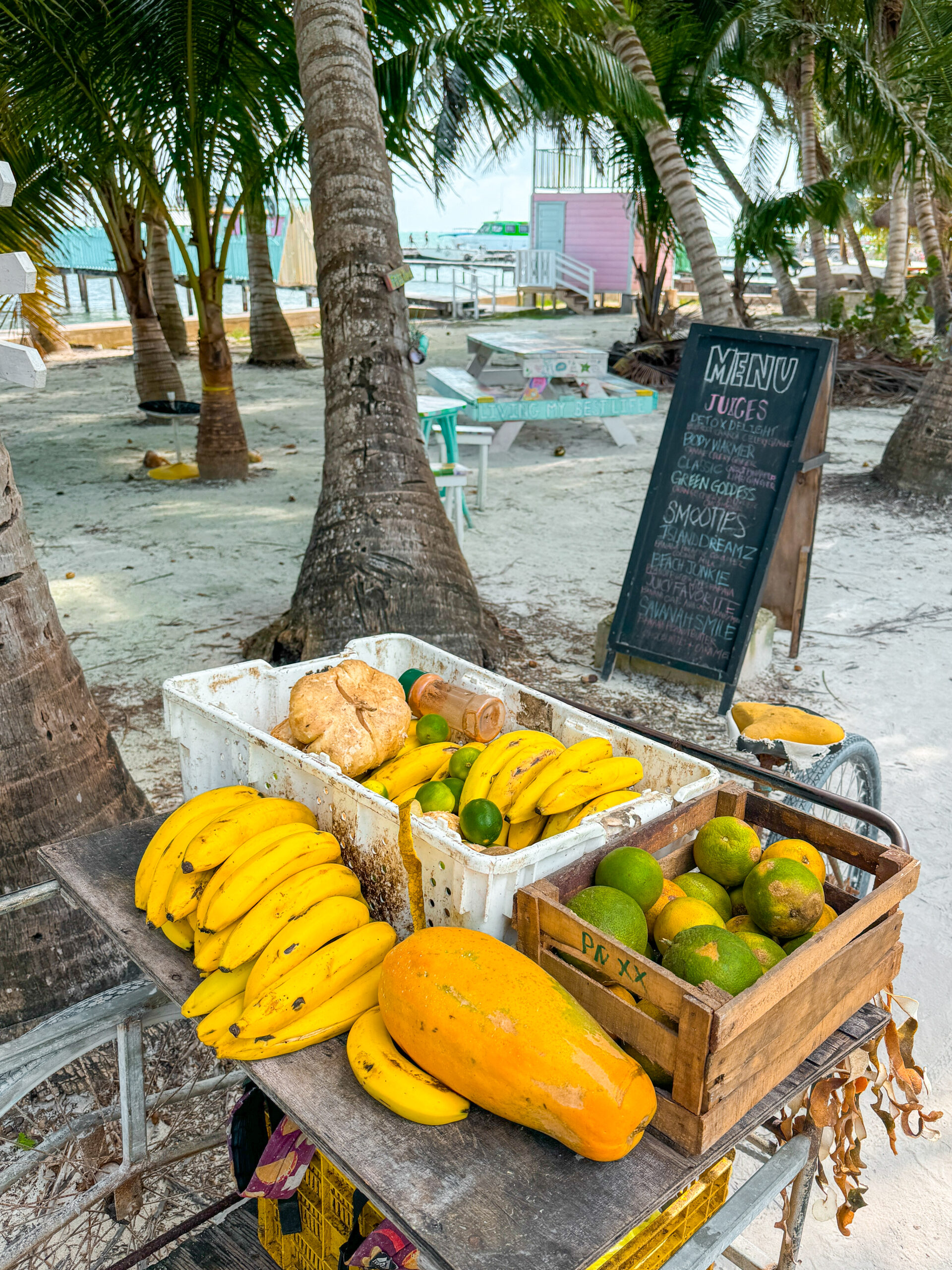 tropical fruit stand on the beach in caye caulker